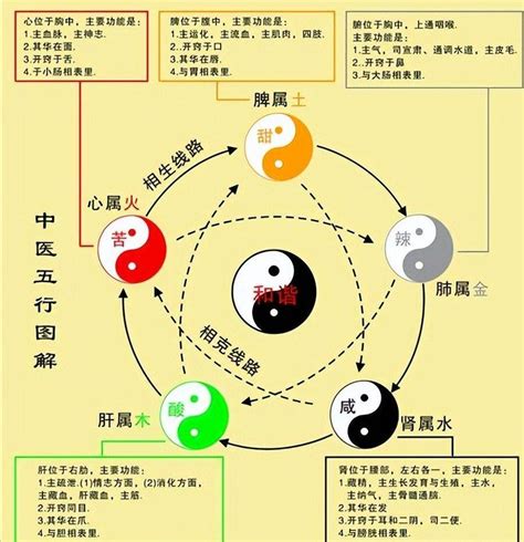 土跟木|木与其它五行的关系